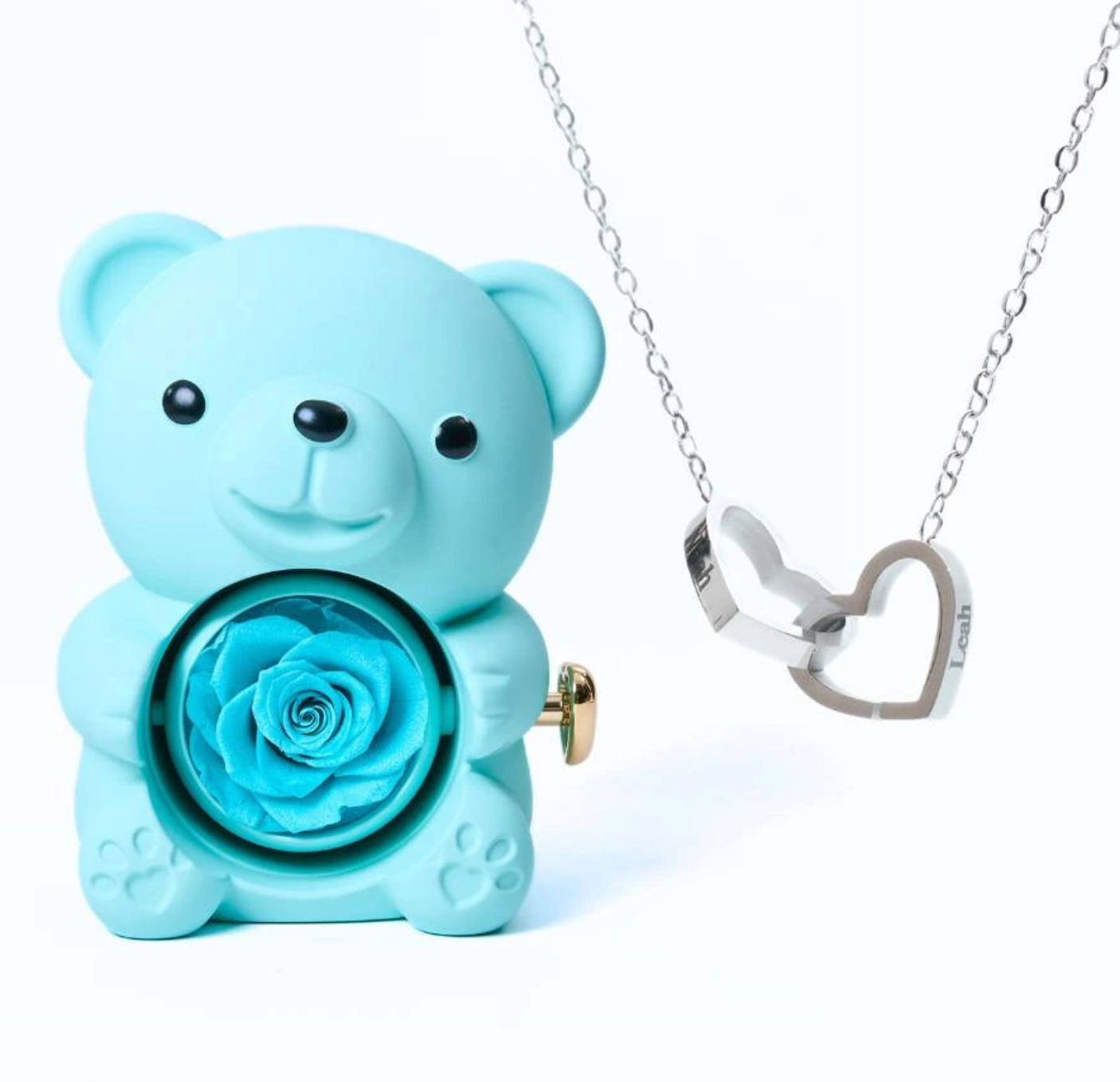 Oso de rosas eternas y collar personalizado