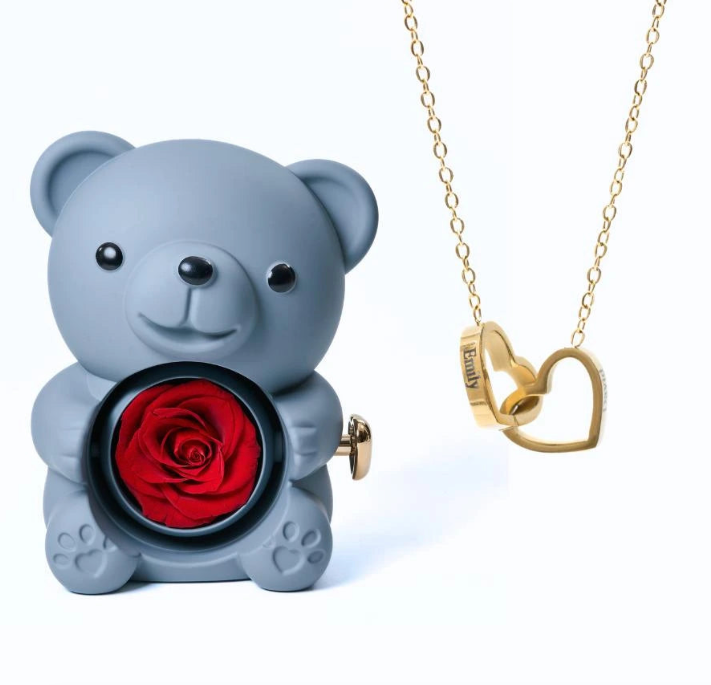 Oso de rosas eternas y collar personalizado