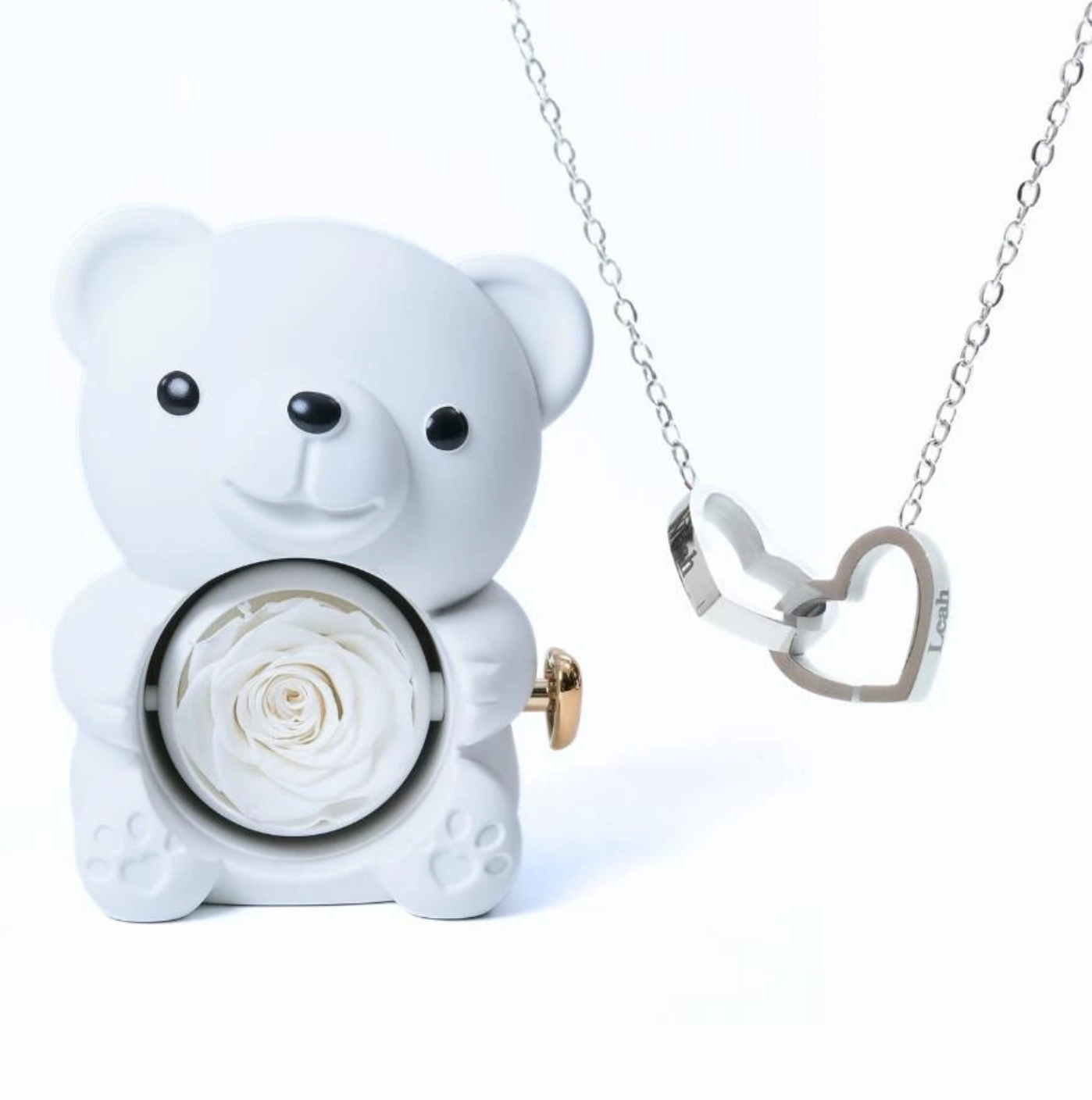 Oso de rosas eternas y collar personalizado