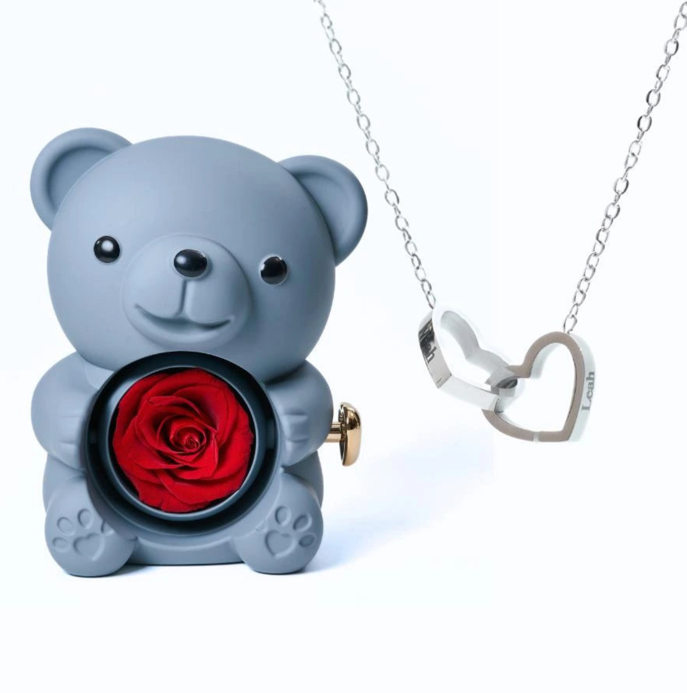 Oso de rosas eternas y collar personalizado